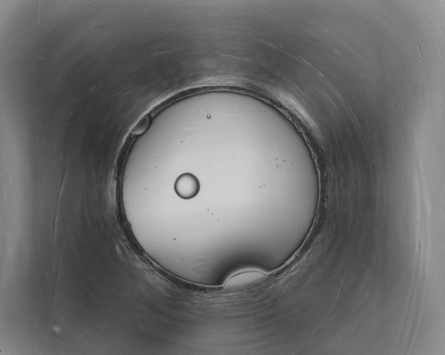 X0000112141268200908211346