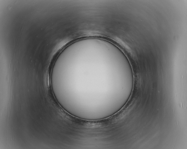 X0000112141269200908211345