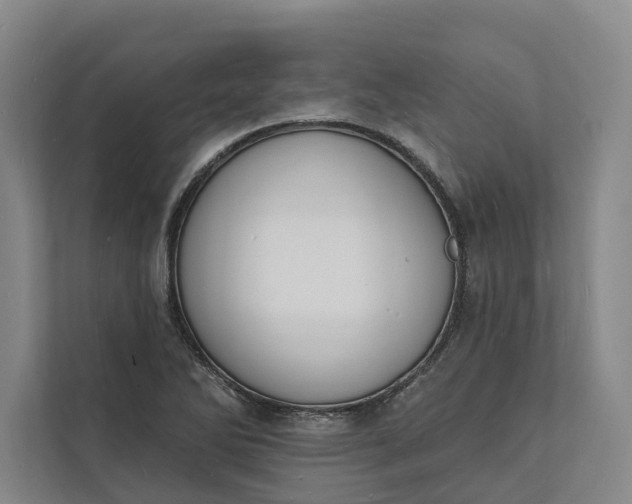 X0000112141270200908211345