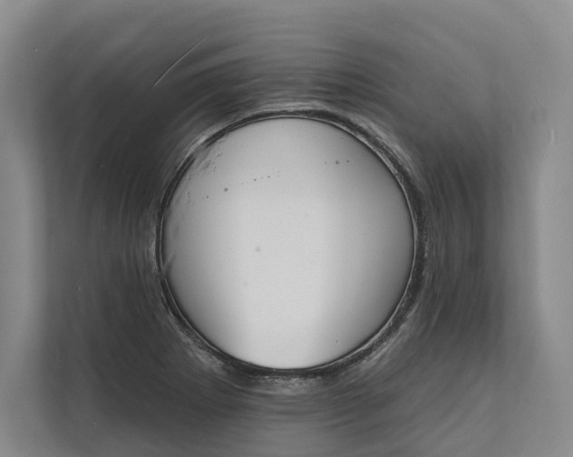 X0000112141273200908211345