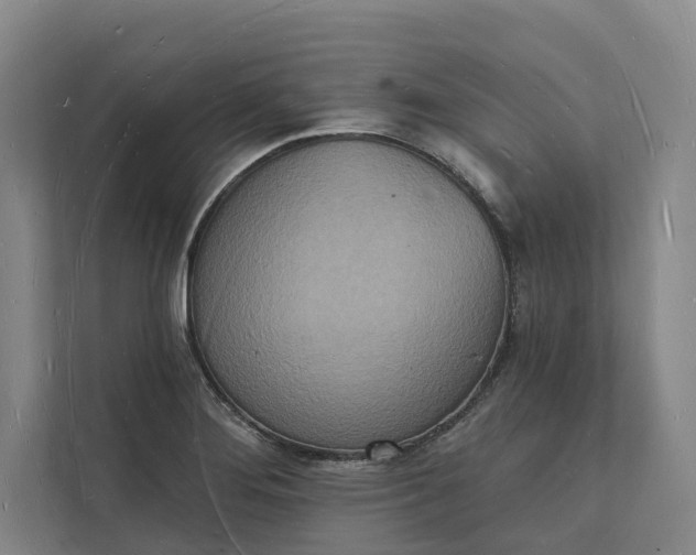 X0000112141276200908211345