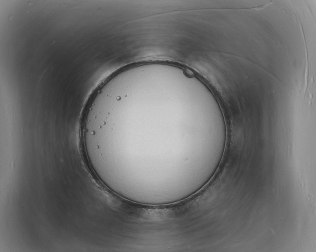 X0000112141277200908211345