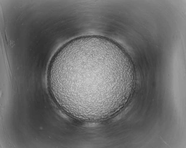 X0000112141278200908211345