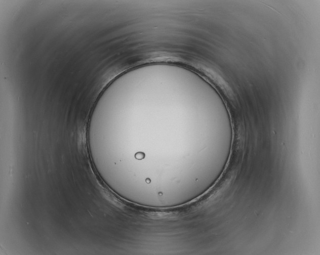 X0000112141281200908211345