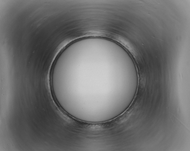 X0000112141283200908211345