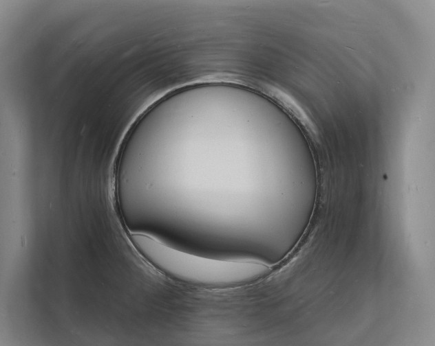 X0000112141284200908211345