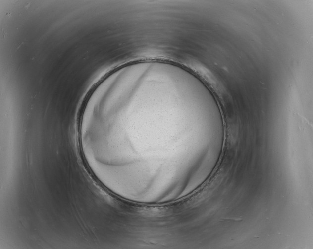 X0000112141286200908211345