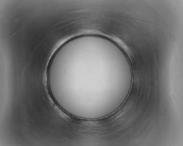 X0000112141287200908211345