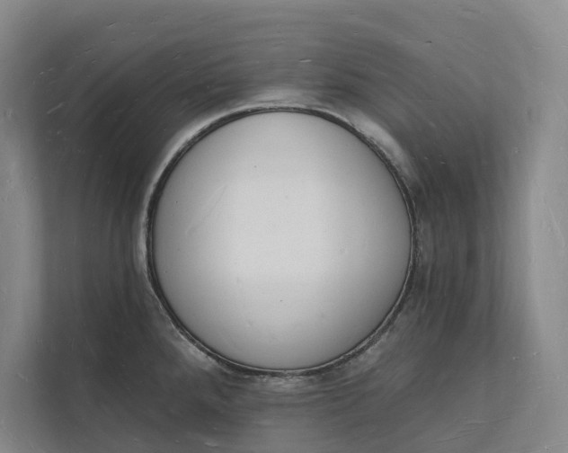 X0000112141288200908211345