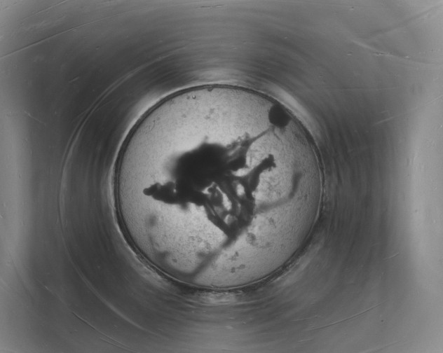 X0000112141291200908211345