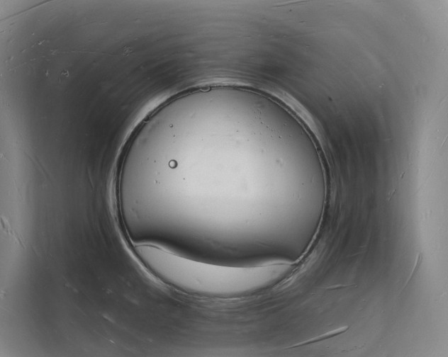 X0000112141293200908211345