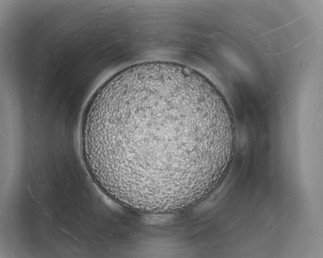 X0000112141294200908211345