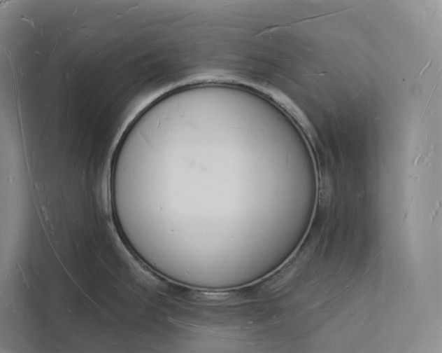 X0000112141295200908211345