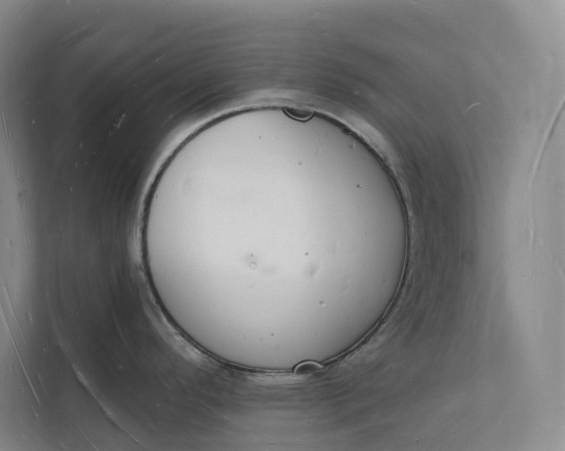 X0000112141296200908211345