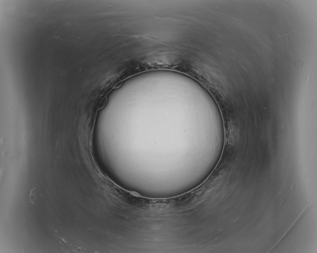 X0000112141297200908211345