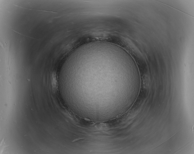 X0000112141298200908211345