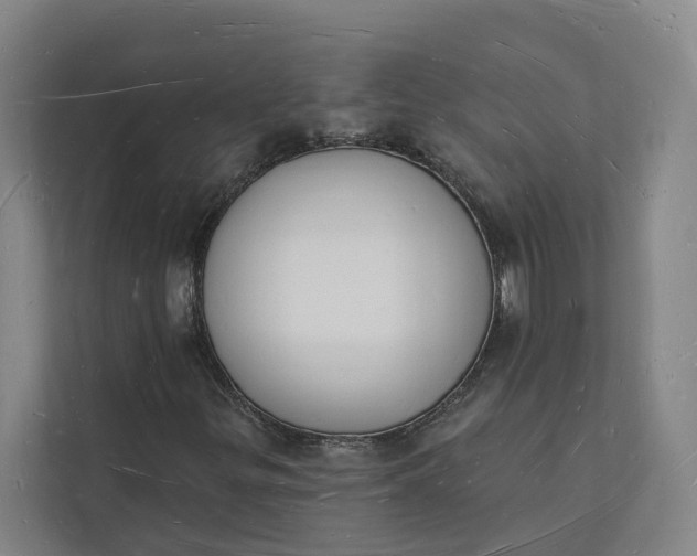 X0000112141299200908211345