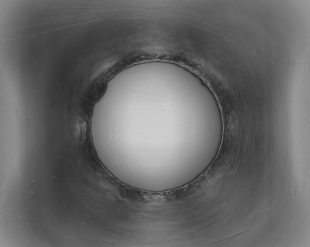 X0000112141302200908211345