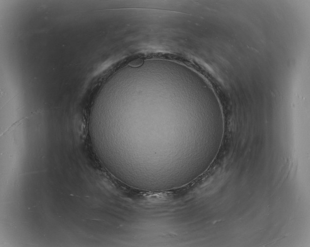 X0000112141303200908211345