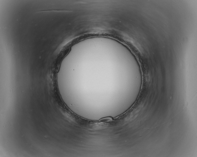 X0000112141304200908211345