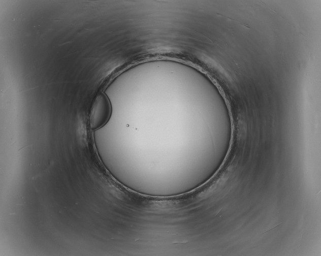 X0000112141305200908211345