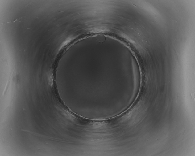 X0000112141306200908211345