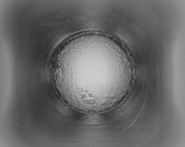 X0000112141310200908211345