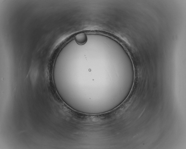 X0000112141311200908211345