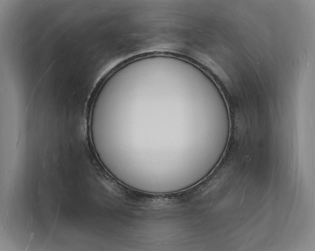 X0000112141316200908211345