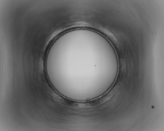 X0000112141318200908211345