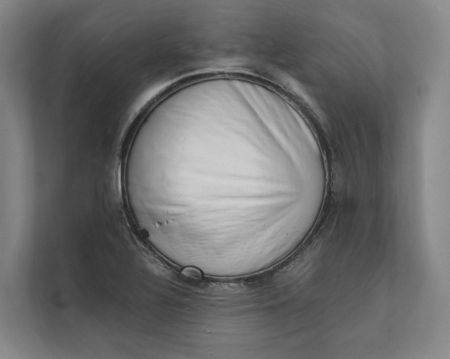 X0000112141320200908211345