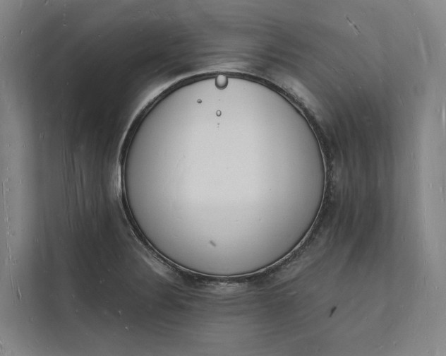 X0000112141324200908211345