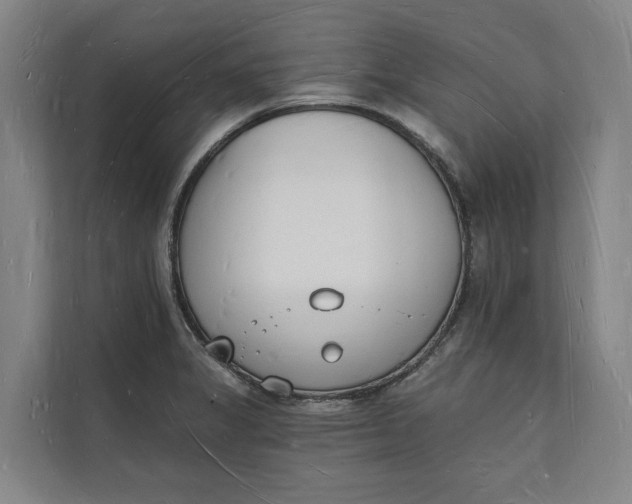 X0000112141325200908211345