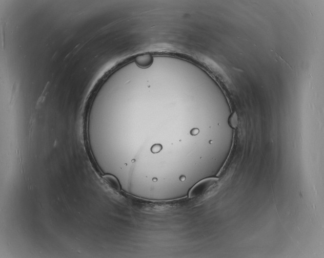 X0000112141326200908211345