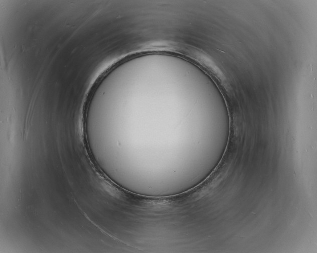 X0000112141328200908211345