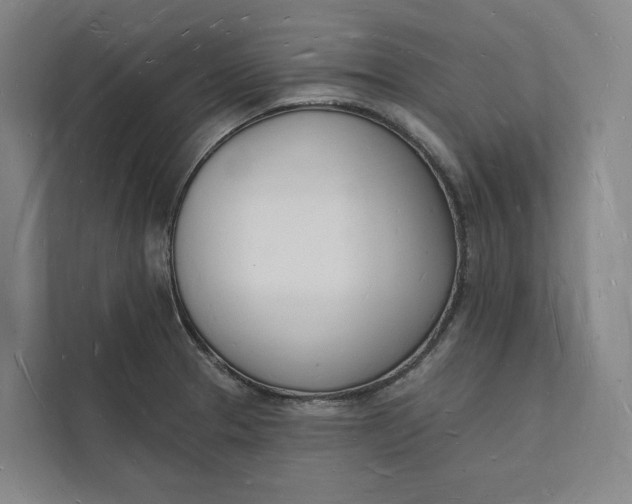 X0000112141329200908211345