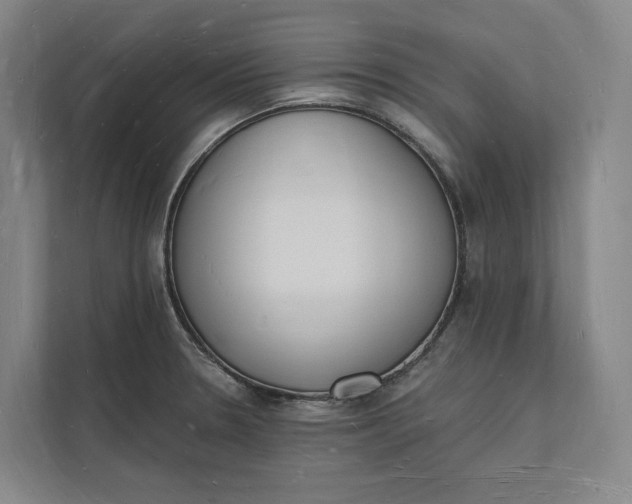 X0000112141330200908211345