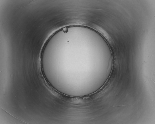 X0000112141332200908211345