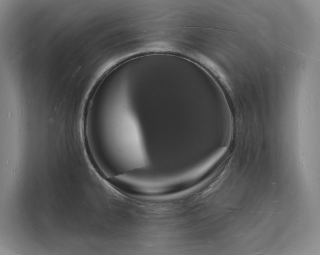 X0000112141334200908211345