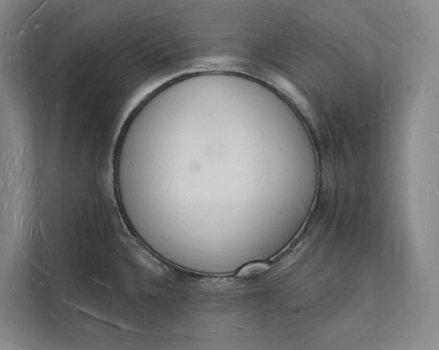 X0000112141336200908211345