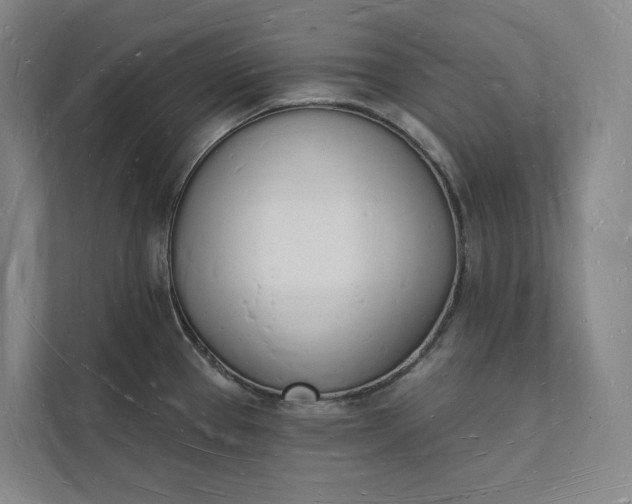 X0000112141337200908211345