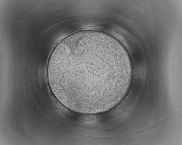 X0000112141338200908211345