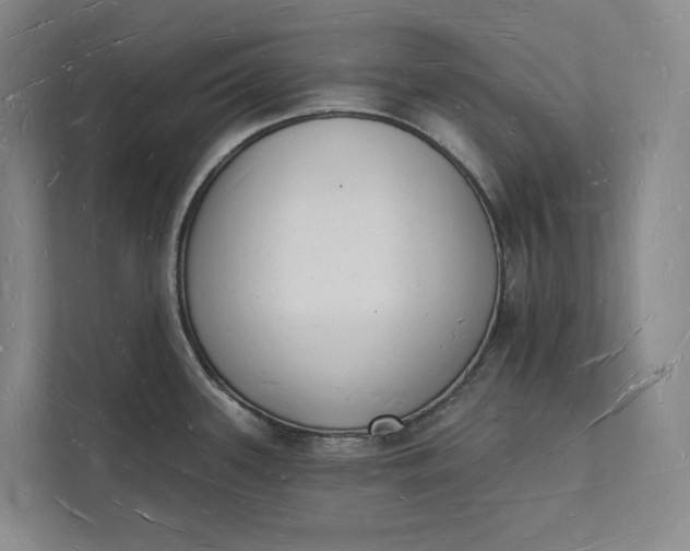 X0000112141339200908211345