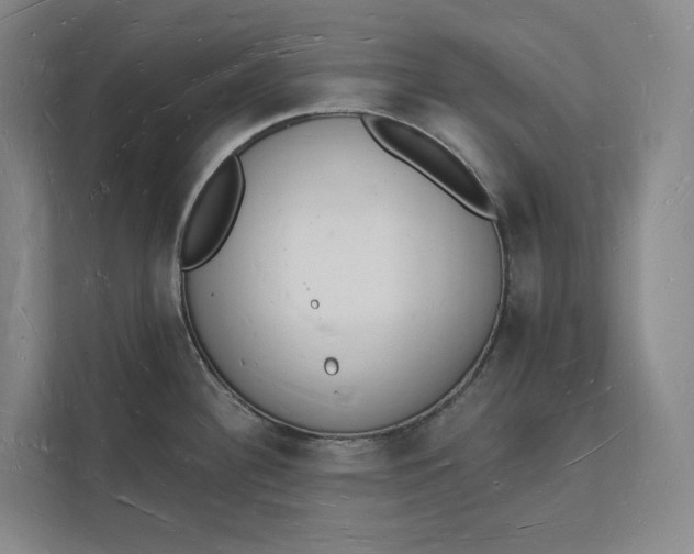 X0000112141340200908211345