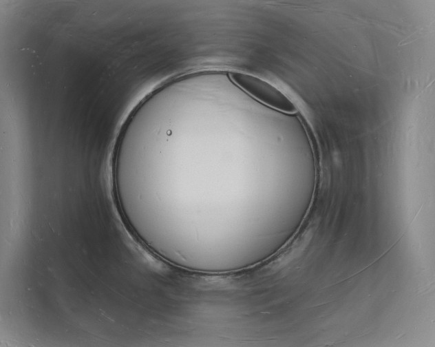 X0000112141341200908211345