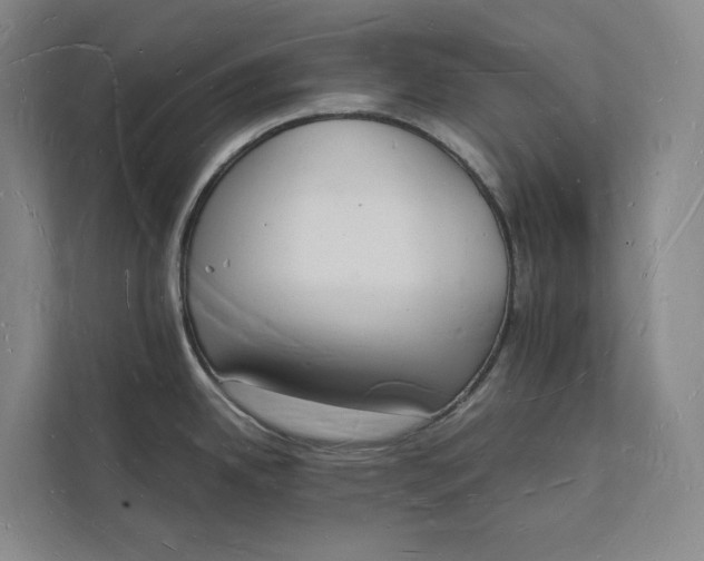 X0000112141342200908211345