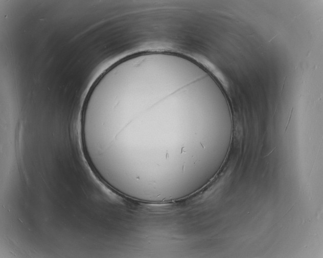 X0000112141343200908211345