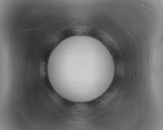 X0000112141346200908211344