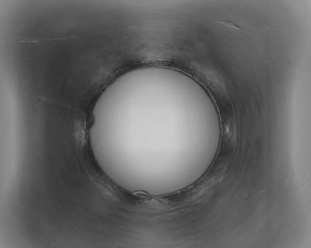 X0000112141348200908211344