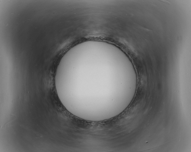 X0000112141350200908211344